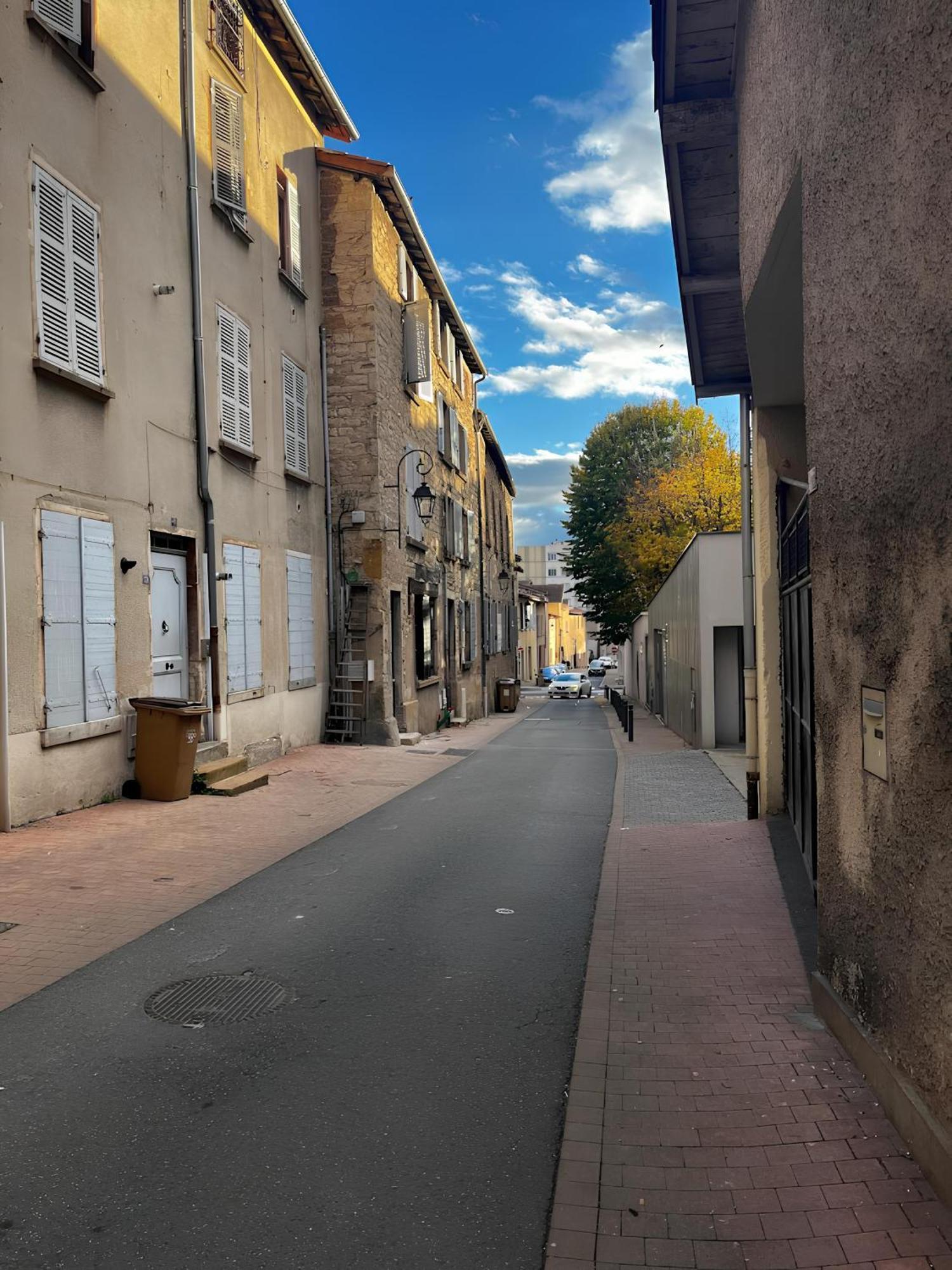 شقة Tinyhouse Experience In Beaujolais Villefranche-sur-Saône المظهر الخارجي الصورة